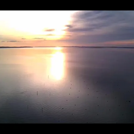 Appt. Bella - Les Bains, Au Coeur Du Bassin D'arcachon Appartamento *